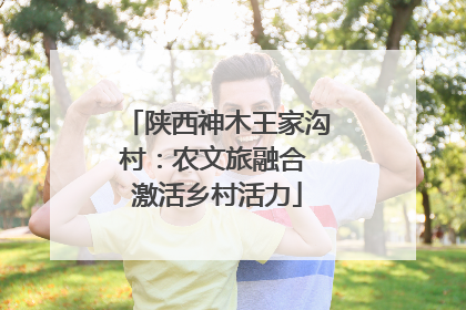 陕西神木王家沟村：农文旅融合 激活乡村活力