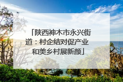 陕西神木市永兴街道：村企结对促产业 和美乡村展新颜