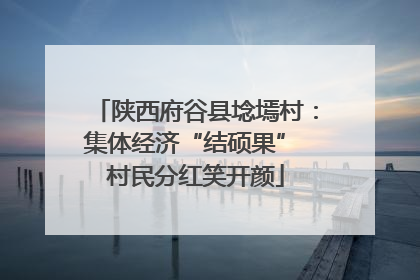 陕西府谷县埝墕村：集体经济“结硕果” 村民分红笑开颜