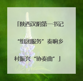 陕西汉阴第一书记“组团服务”奏响乡村振兴“协奏曲”