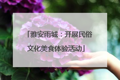 雅安雨城：开展民俗文化美食体验活动