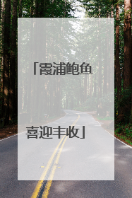 霞浦鲍鱼喜迎丰收