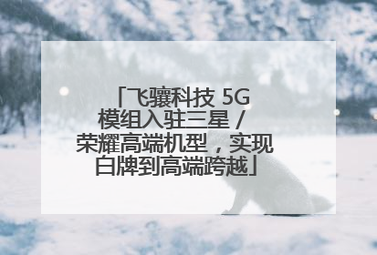 飞骧科技 5G 模组入驻三星 / 荣耀高端机型，实现白牌到高端跨越