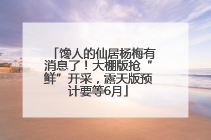馋人的仙居杨梅有消息了！大棚版抢“鲜”开采，露天版预计要等6月