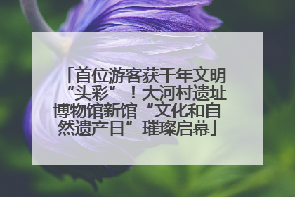 首位游客获千年文明“头彩”！大河村遗址博物馆新馆“文化和自然遗产日”璀璨启幕
