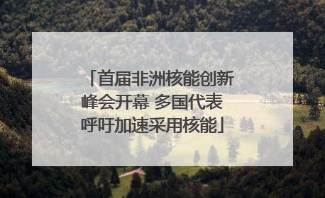 首届非洲核能创新峰会开幕 多国代表呼吁加速采用核能