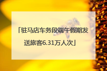 驻马店车务段端午假期发送旅客6.31万人次
