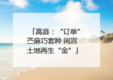 高县：“订单”苎麻巧套种 闲置土地再生“金”