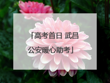 高考首日 武昌公安暖心助考