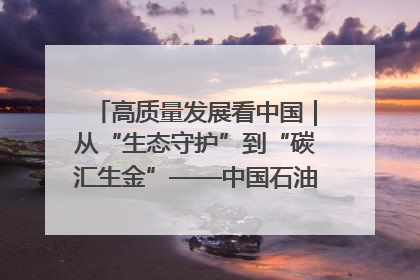 高质量发展看中国｜从“生态守护”到“碳汇生金”——中国石油大庆油田绿色蝶变