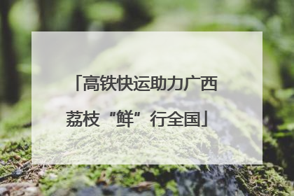 高铁快运助力广西荔枝“鲜”行全国