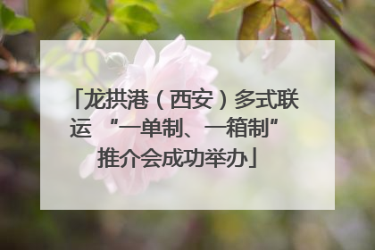 龙拱港（西安）多式联运 “一单制、一箱制” 推介会成功举办