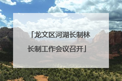龙文区河湖长制林长制工作会议召开