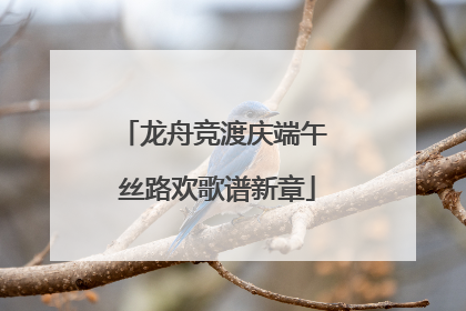 龙舟竞渡庆端午 丝路欢歌谱新章