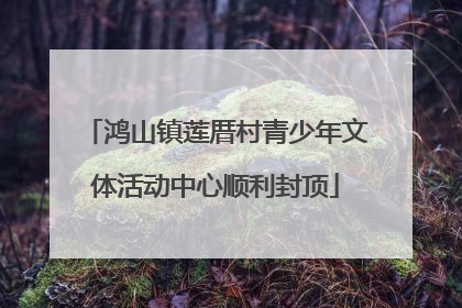 鸿山镇莲厝村青少年文体活动中心顺利封顶