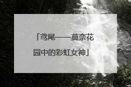 鸢尾——莫奈花园中的彩虹女神