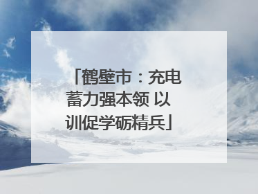 鹤壁市：充电蓄力强本领 以训促学砺精兵