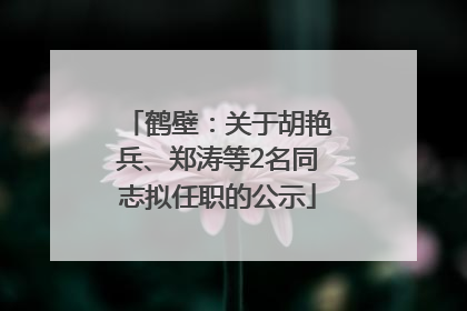 鹤壁：关于胡艳兵、郑涛等2名同志拟任职的公示