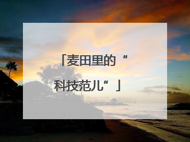 麦田里的“科技范儿”
