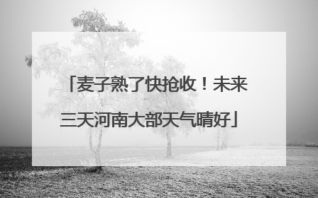麦子熟了快抢收！未来三天河南大部天气晴好