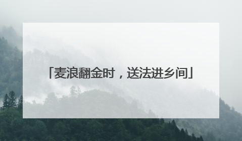 麦浪翻金时，送法进乡间