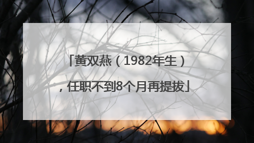 黄双燕（1982年生），任职不到8个月再提拔