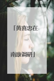 黄喜忠在南康调研