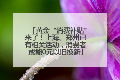黄金“消费补贴”来了！上海、郑州已有相关活动，消费者或能0元以旧换新
