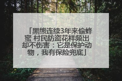 黑熊连续3年来偷蜂蜜 村民防盗花样频出却不伤害：它是保护动物，我有保险兜底