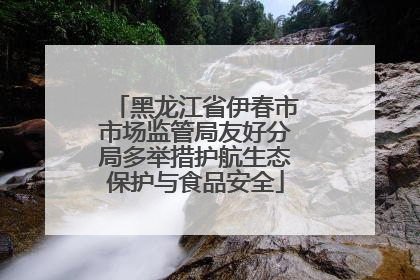 黑龙江省伊春市市场监管局友好分局多举措护航生态保护与食品安全