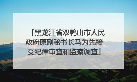 黑龙江省双鸭山市人民政府原副秘书长马为先接受纪律审查和监察调查