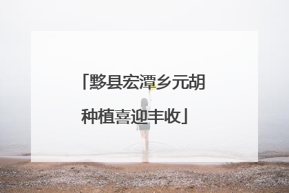 黟县宏潭乡元胡种植喜迎丰收