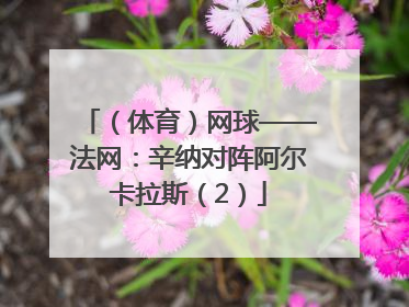 （体育）网球——法网：辛纳对阵阿尔卡拉斯（2）