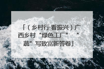 （乡村行·看振兴）广西乡村“绿色工厂” “蔬”写致富新答卷