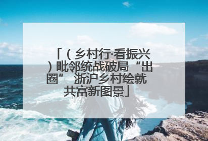 （乡村行·看振兴）毗邻统战破局“出圈” 浙沪乡村绘就共富新图景