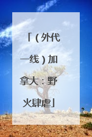 （外代一线）加拿大：野火肆虐