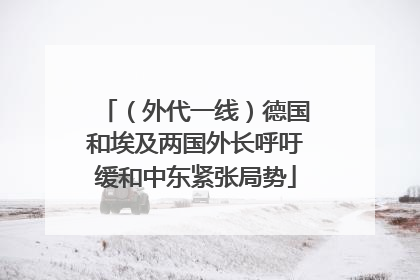 （外代一线）德国和埃及两国外长呼吁缓和中东紧张局势