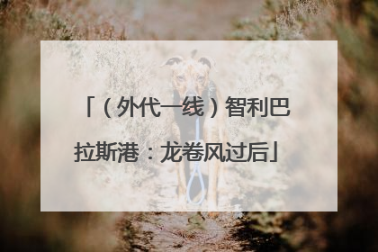 （外代一线）智利巴拉斯港：龙卷风过后