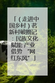 （走进中国乡村）茗新村破圈记：民族文化赋能 产业借势 “网红东风”