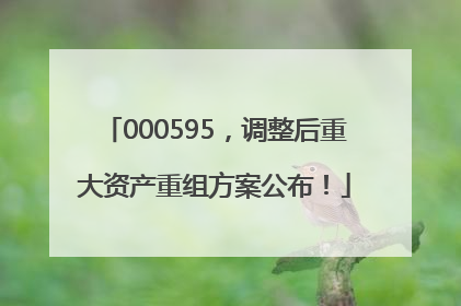 000595，调整后重大资产重组方案公布！