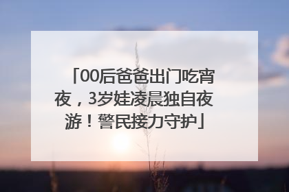 00后爸爸出门吃宵夜，3岁娃凌晨独自夜游！警民接力守护