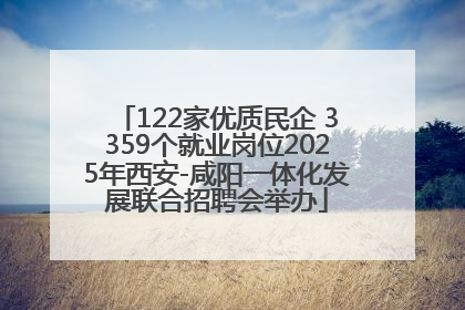 122家优质民企 3359个就业岗位2025年西安-咸阳一体化发展联合招聘会举办
