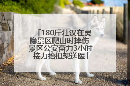 180斤壮汉在灵隐景区爬山时摔伤 景区公安奋力3小时接力抬担架送医