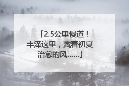 2.5公里慢道！丰泽这里，藏着初夏治愈的风……