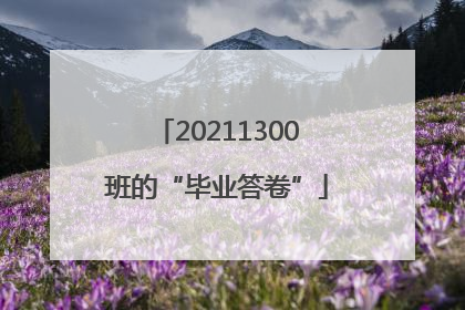 20211300班的“毕业答卷”