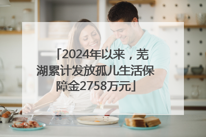 2024年以来，芜湖累计发放孤儿生活保障金2758万元