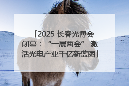 2025 长春光博会闭幕：“一展两会” 激活光电产业千亿新蓝图