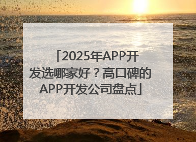 2025年APP开发选哪家好？高口碑的APP开发公司盘点