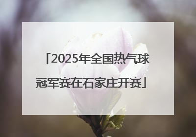 2025年全国热气球冠军赛在石家庄开赛
