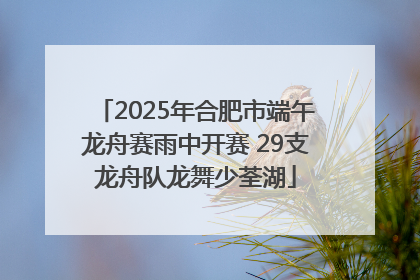 2025年合肥市端午龙舟赛雨中开赛 29支龙舟队龙舞少荃湖
